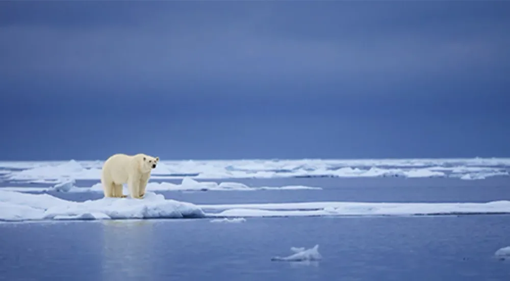 반제국주의는 기후정의다 게시물 이미지