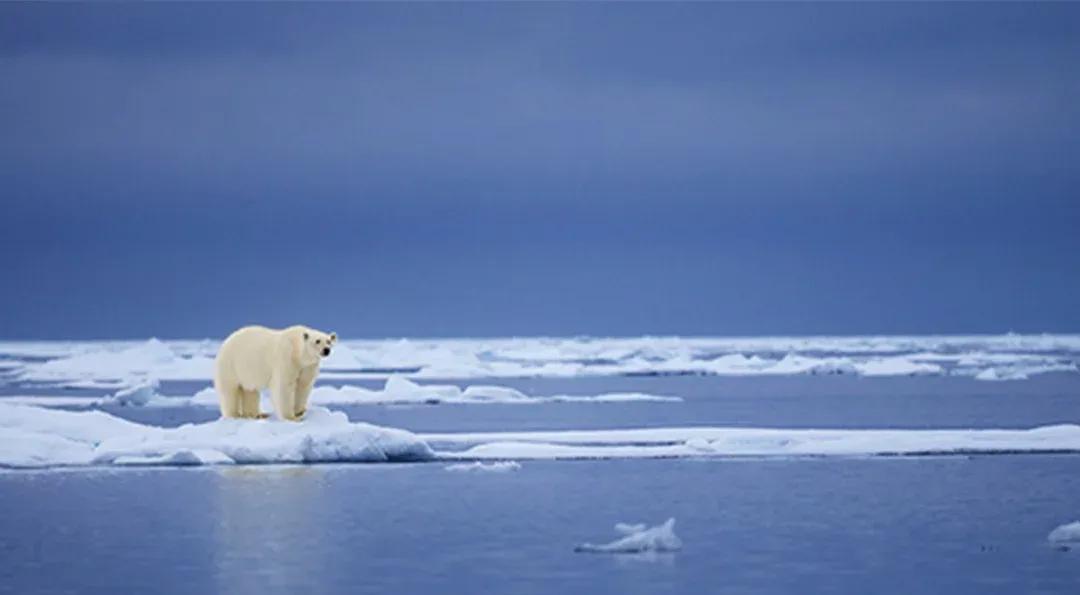 반제국주의는 기후정의다 게시물 이미지